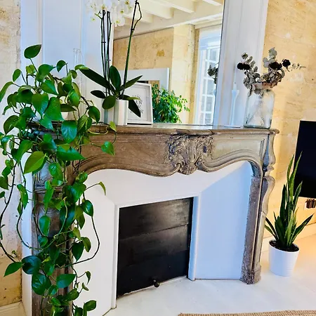 Le Borie - Hyper Centre 公寓