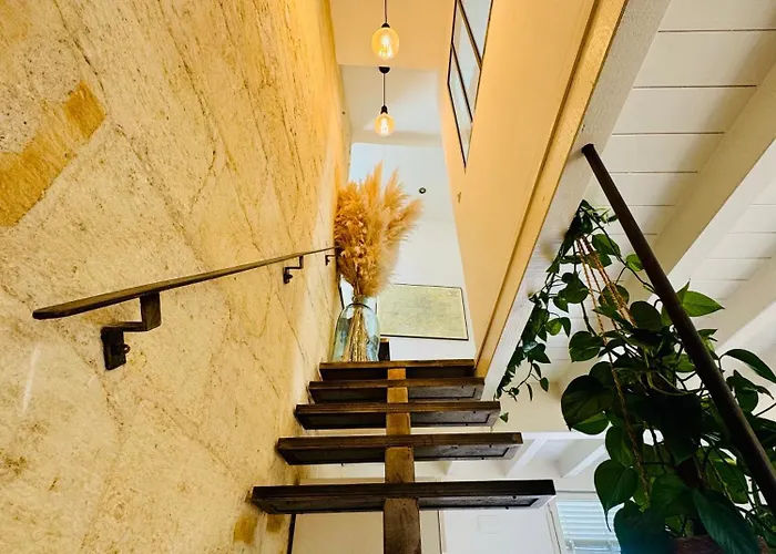 Appartement Le Borie - Hyper Centre